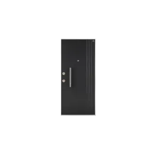 D01 Kale Steel Door